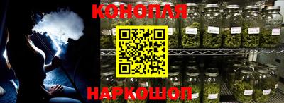 сатива Кунгур