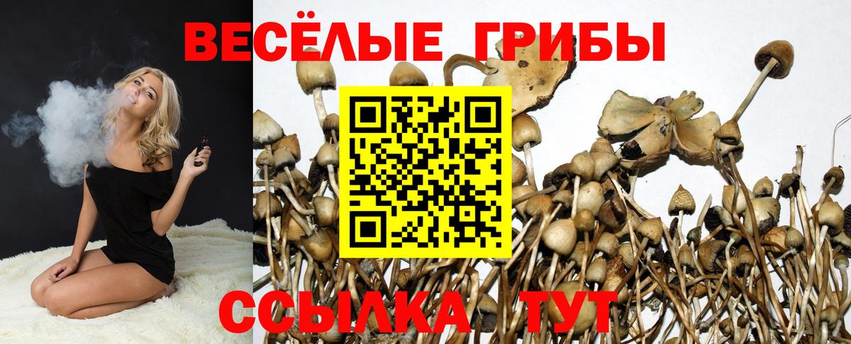 Конопля Канаш