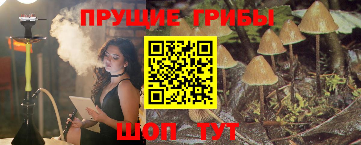 Галлюциногенные грибы GOLDEN TEACHER  Вход с VPN  закладки  Канаш 