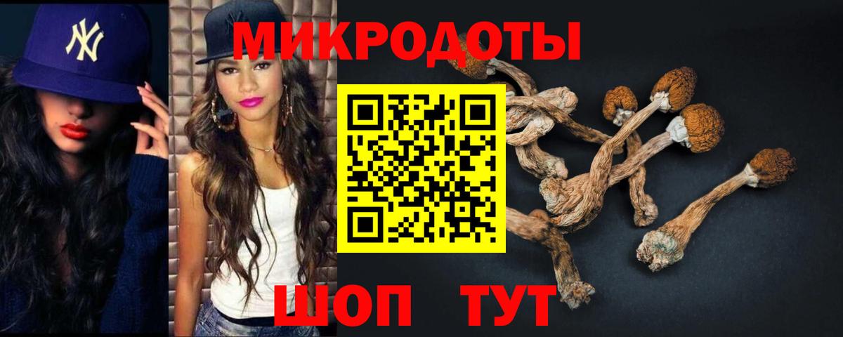Галлюциногенные грибы ЛСД Канаш