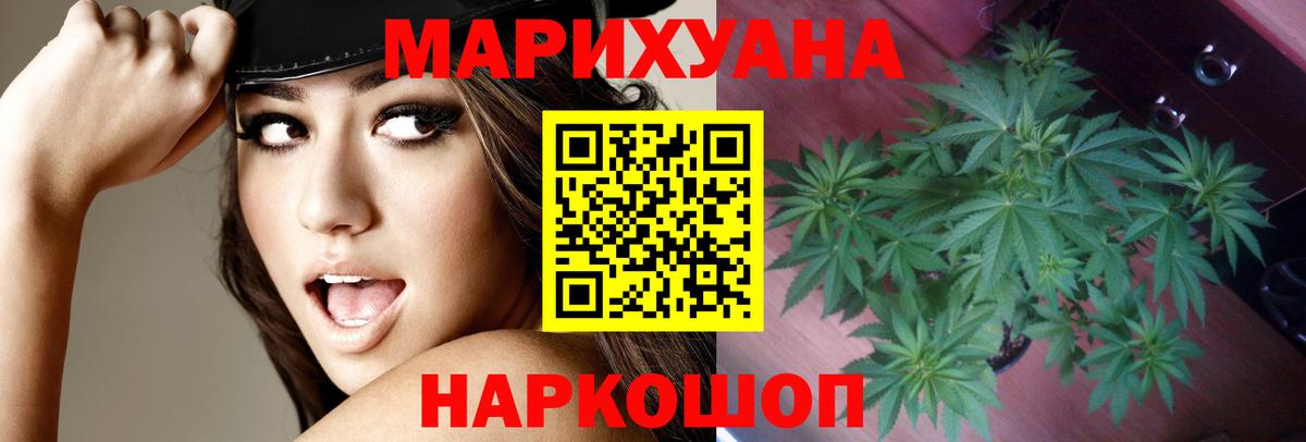 Канабис ГИДРОПОН Канаш